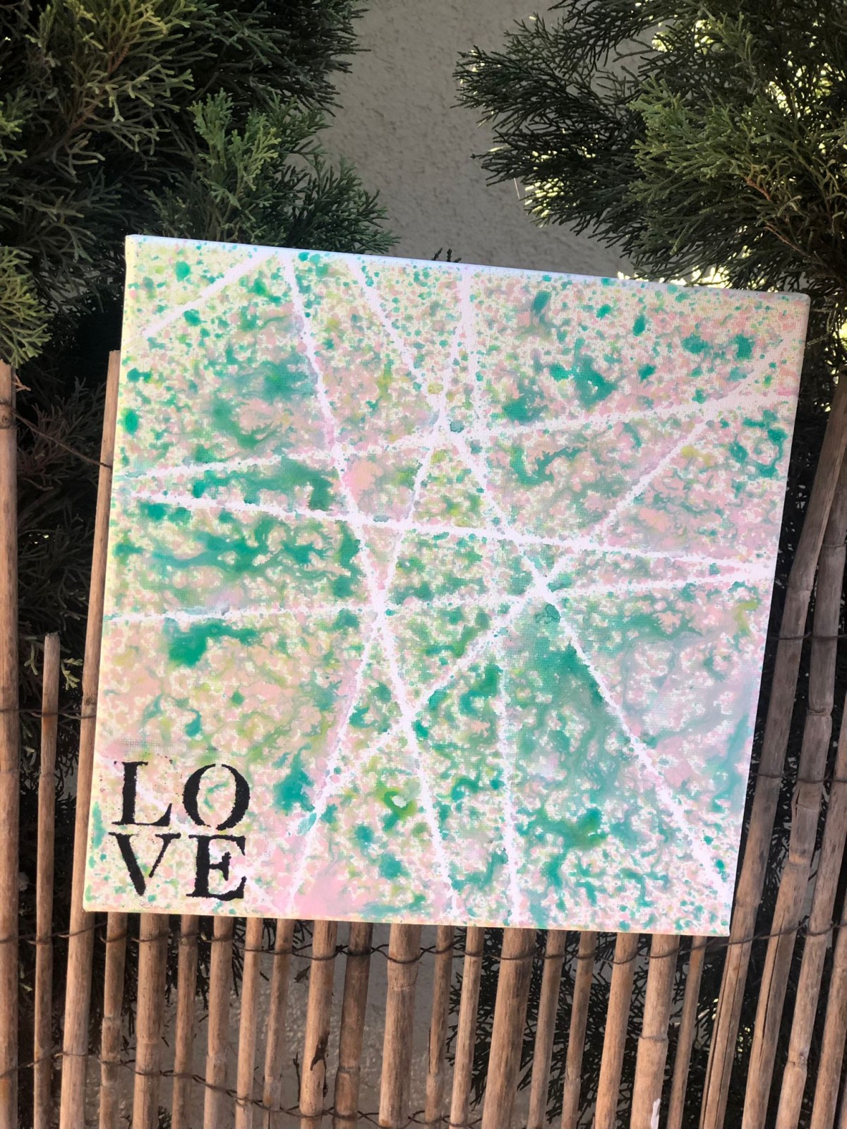 תמונה צבעונית